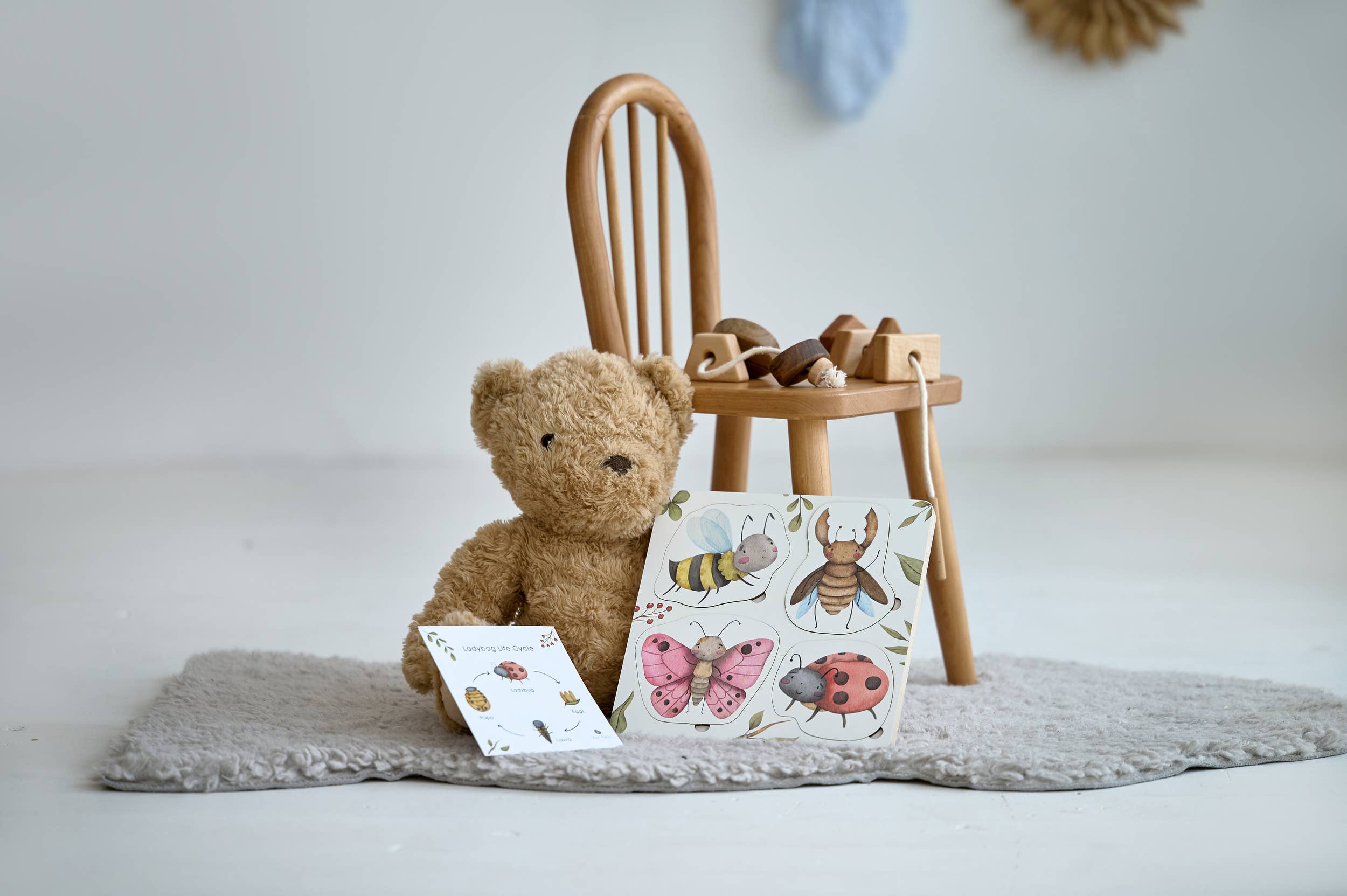 learn about bugs and insects