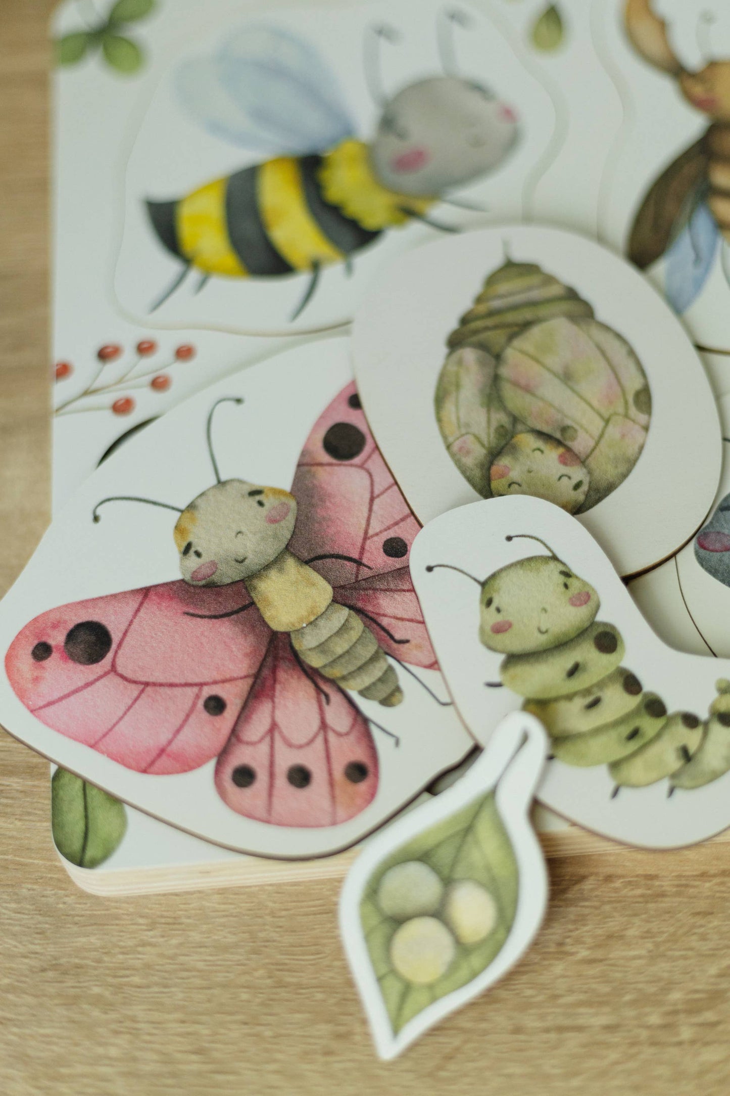 butterfly lifecycle puzzle