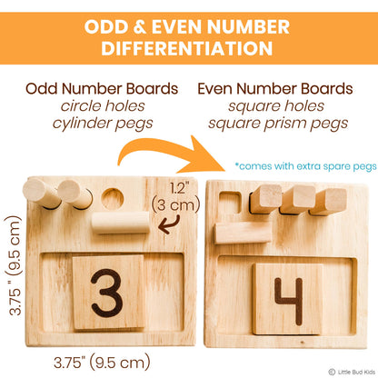 Counting Pegs Math Toy Set & Ten Frame Addition Flashcards