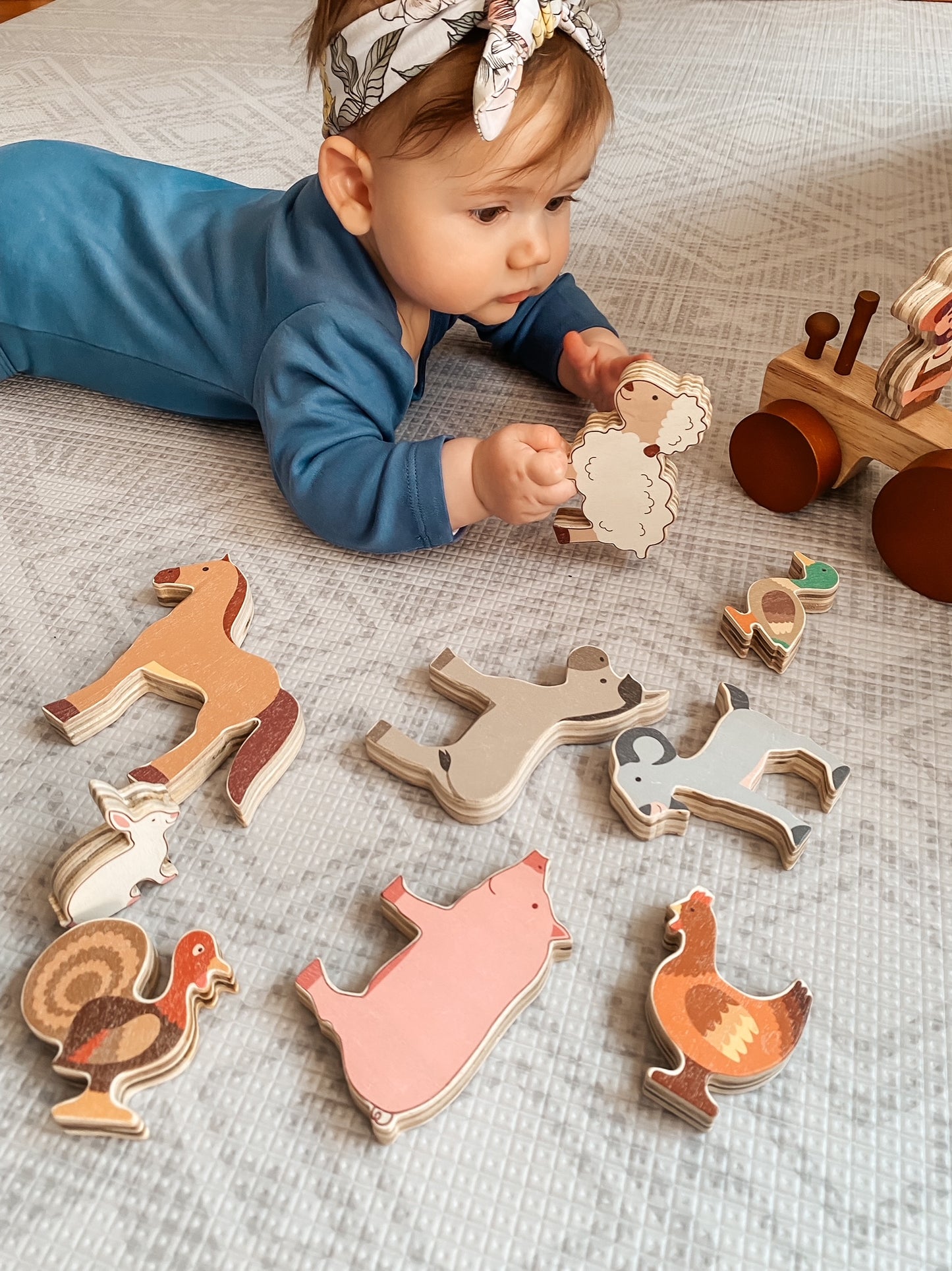 Farm Animals for Kids