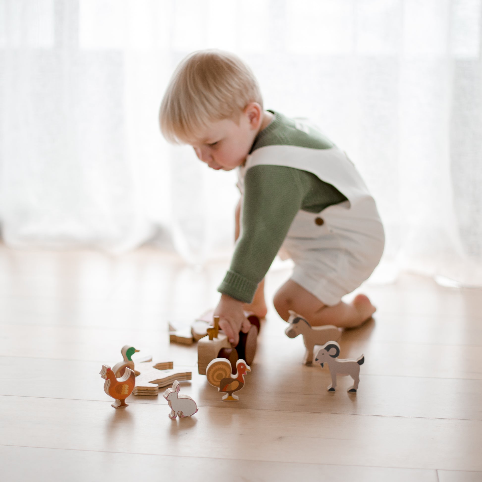 Wooden Farm Animal Set for Kids