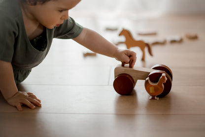 Wooden Toys for Open Ended Play