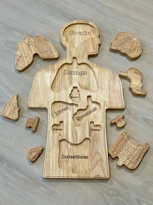 Wooden Human Body Anatomy Puzzle