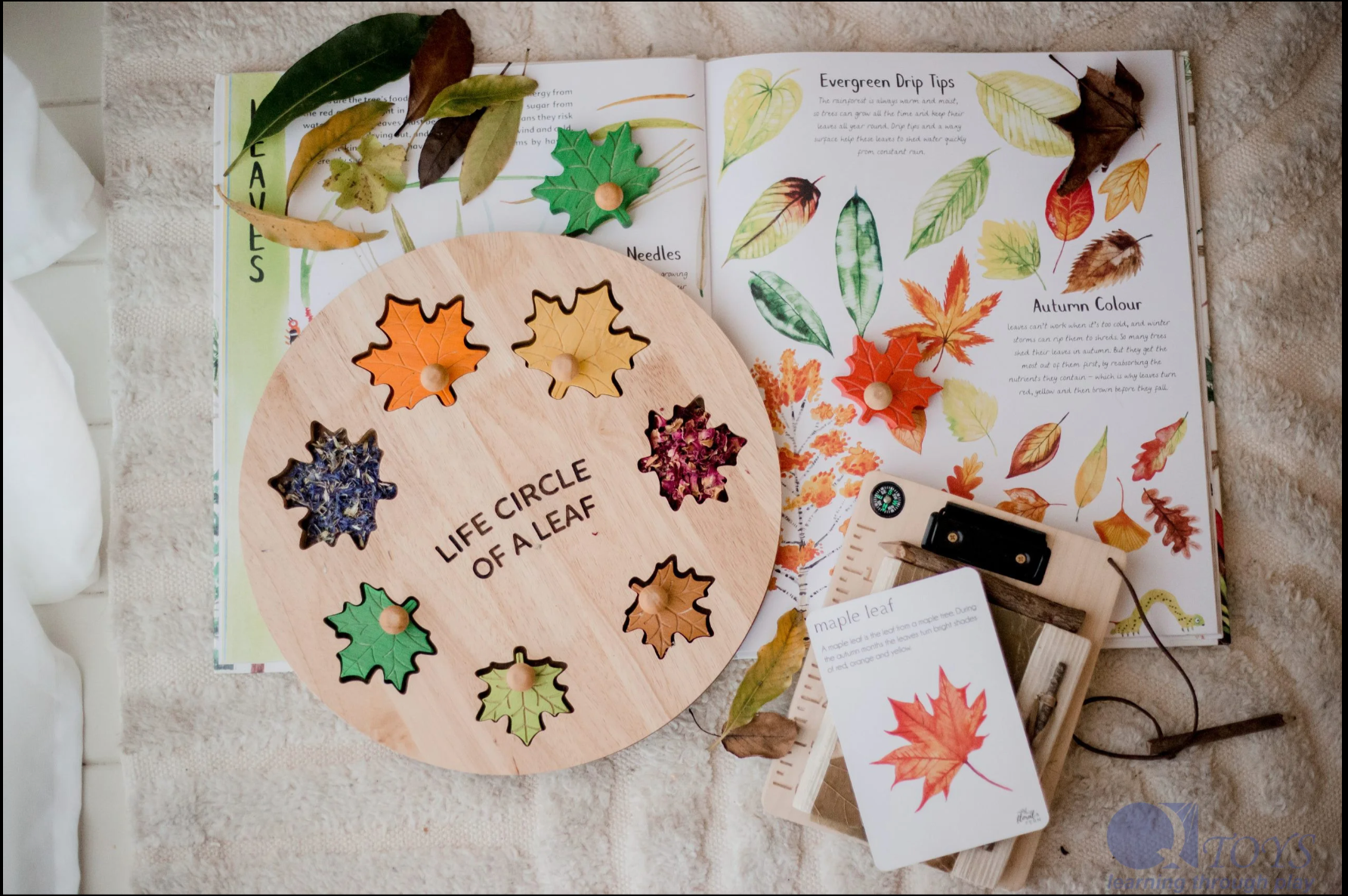 Leaf Puzzle for kids