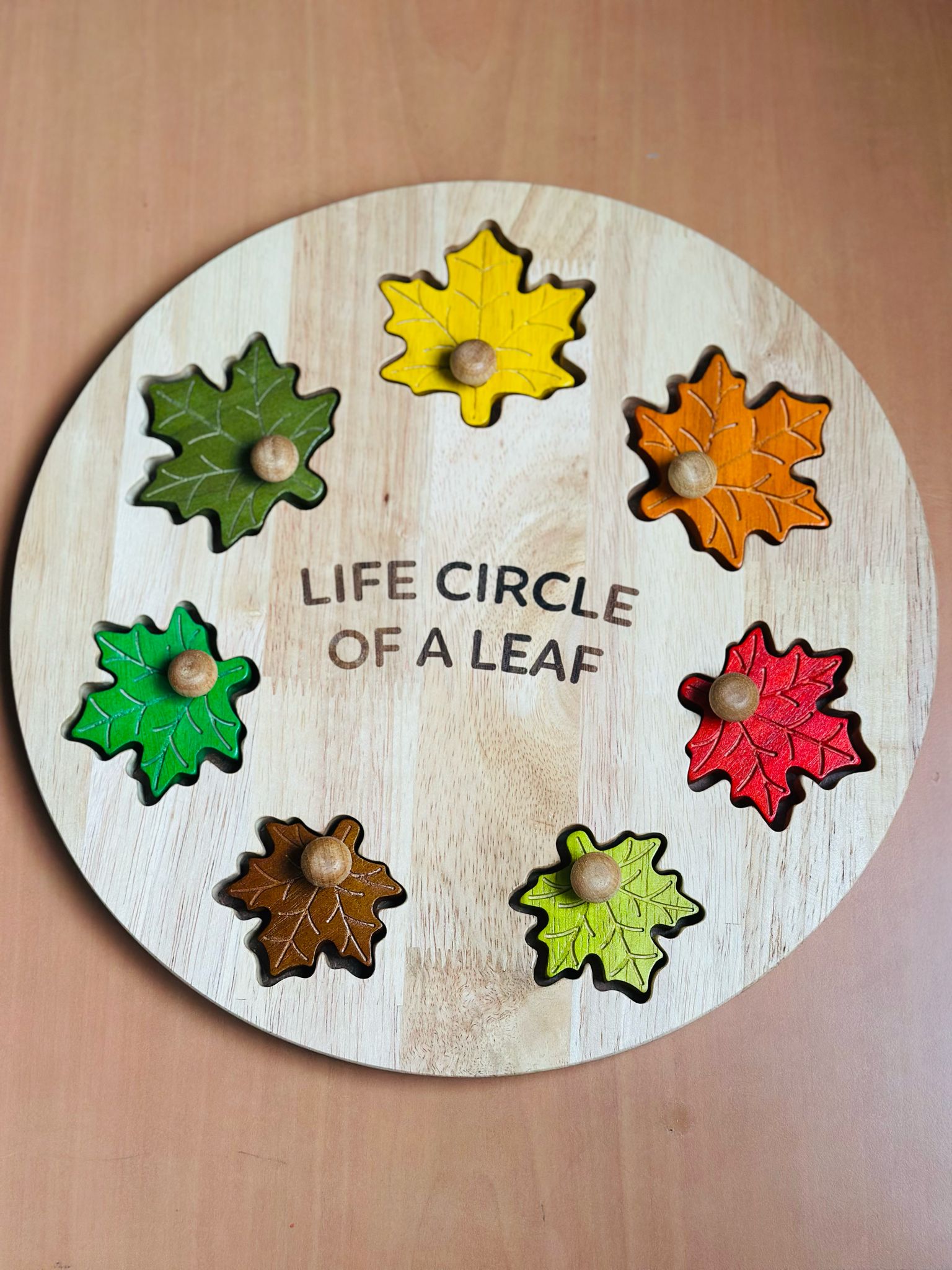 Montessori season puzzle