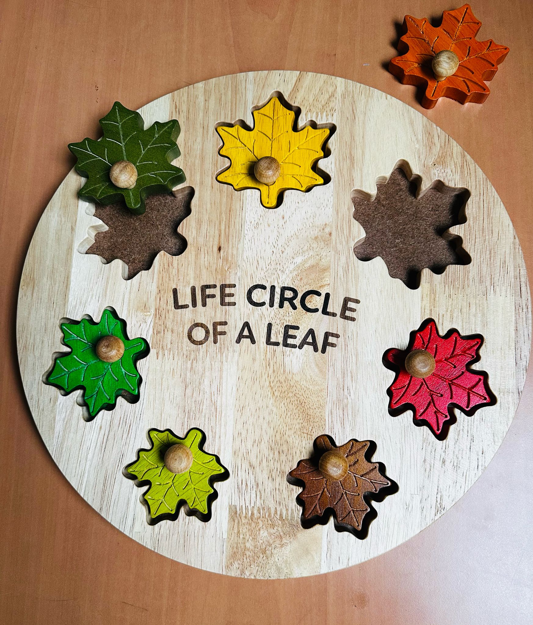 Season Puzzle for toddlers