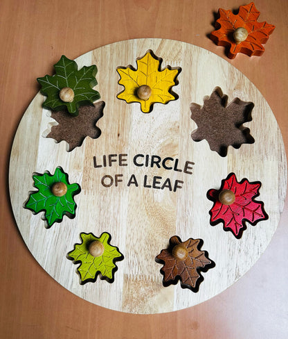 Season Puzzle for toddlers