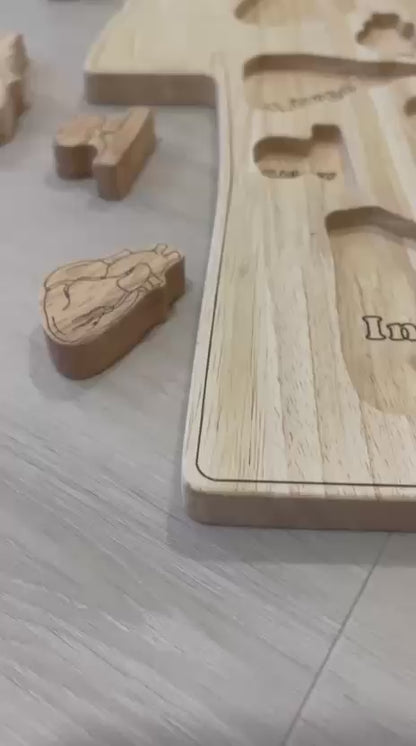 Wooden Human Body Anatomy Puzzle