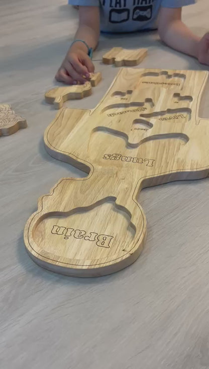 Wooden Human Body Anatomy Puzzle