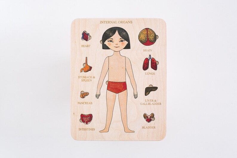 human body puzzles for kids