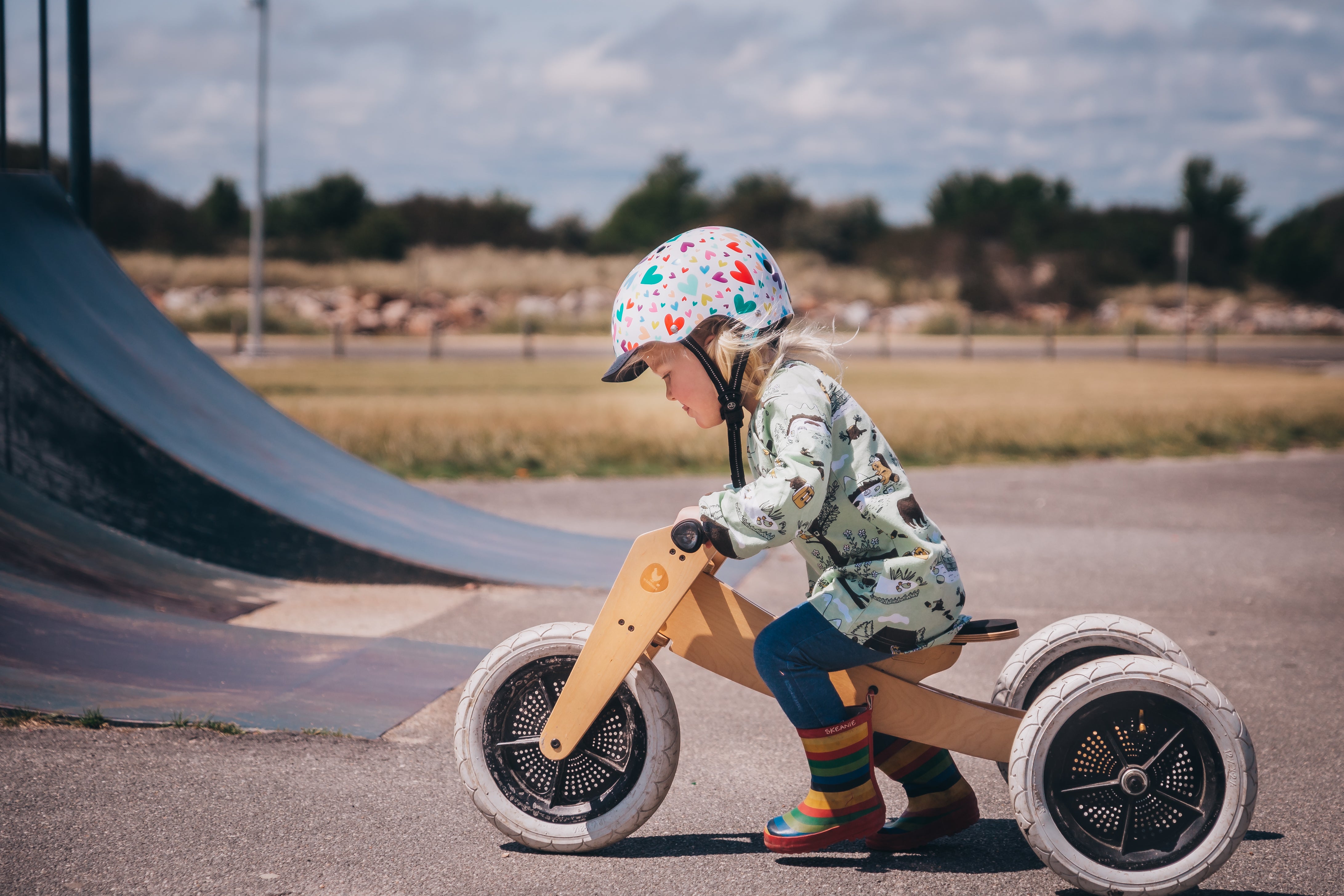 Wishbone tricycle shop